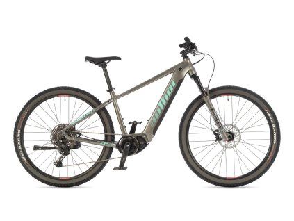 BICYKEL AUTHOR ELEVATION 29 ASL 2025 STRIEBORNÁ/ZELENÁ (Veľkosť rámu 19")
