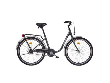 liberty classic 1 spd 26 (1)