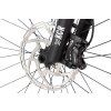 areon gx comp 29 2025 12