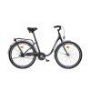 liberty classic 1 spd 26 (1)