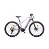 E-XC 29" STORM LITE D 36V veľ. 16", sivá-biela